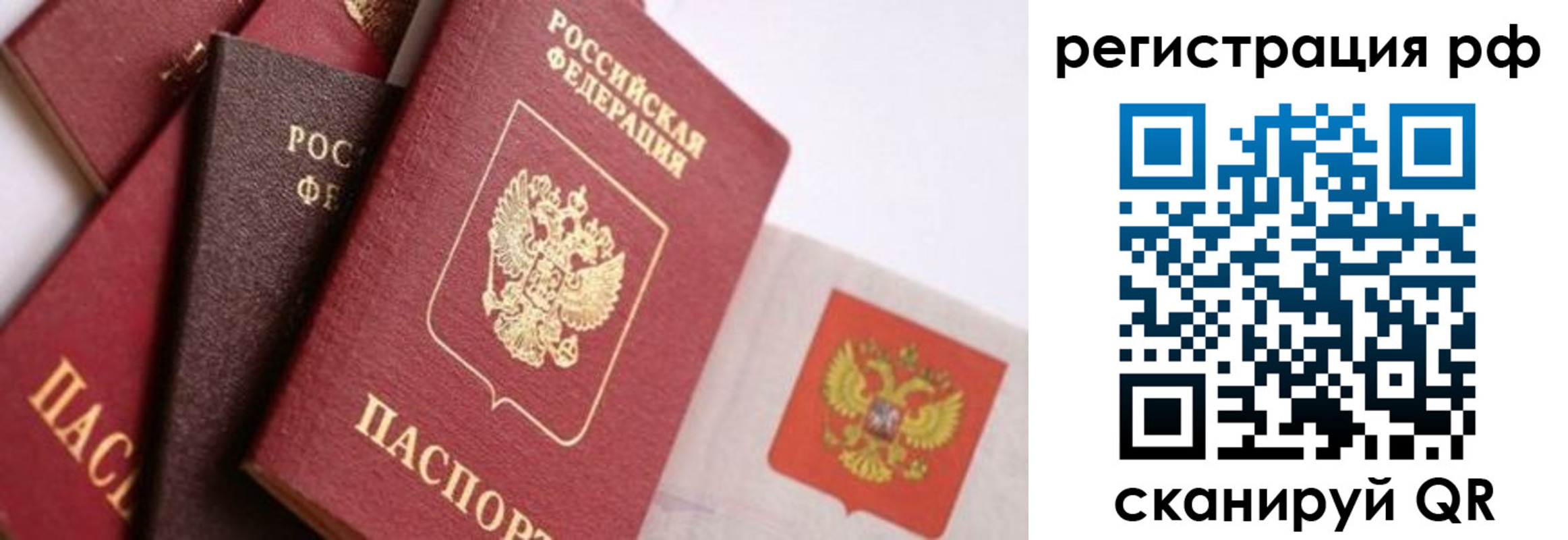 временная регистрация госуслуги в Ярославской области